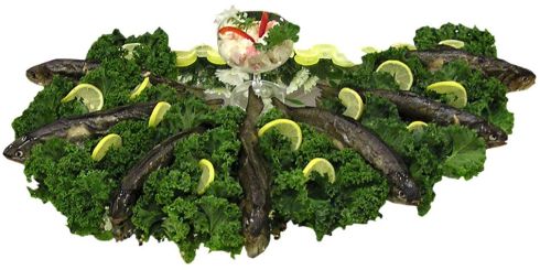 PTC taste is genetic