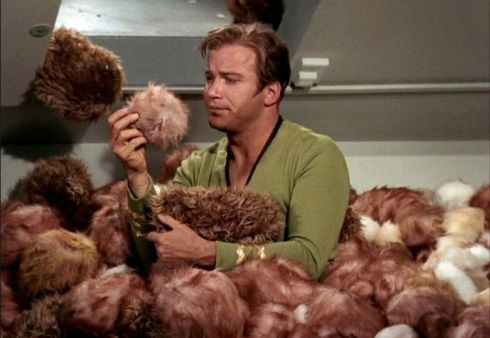 tribble asexual reproduction star trek